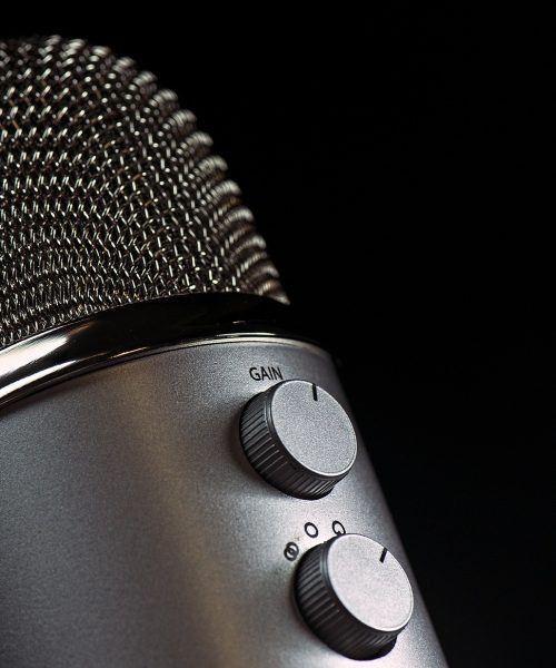 macro photograph of upright microphone