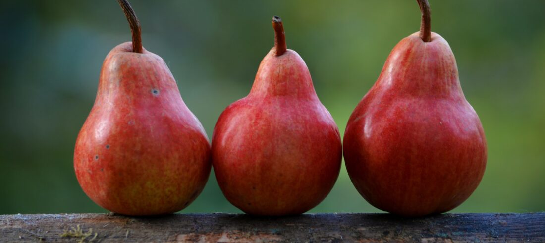 Three pears stand side-by-side. They're obviously separate, but how can we tell them apart?