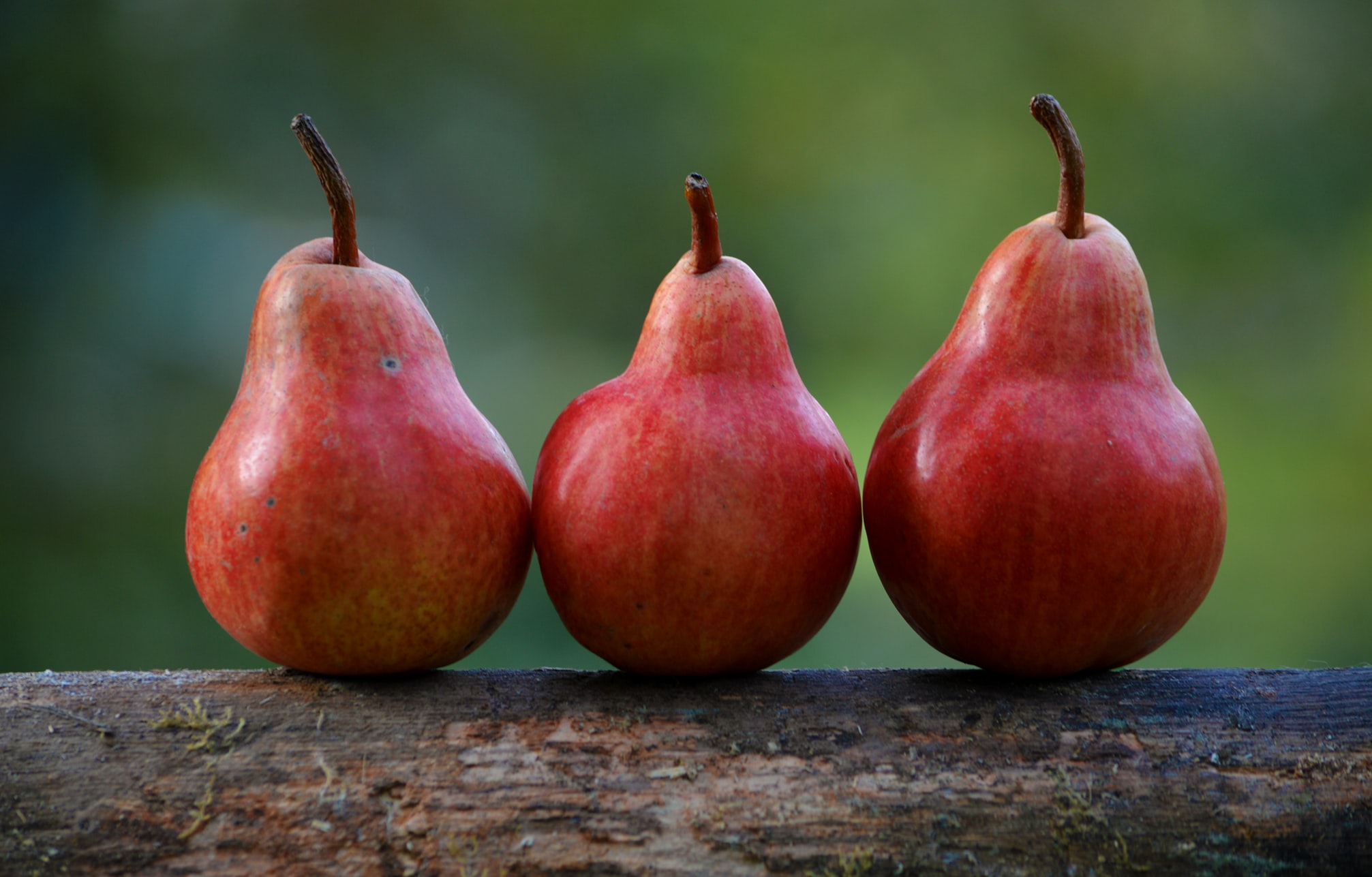 Three pears stand side-by-side. They're obviously separate, but how can we tell them apart?